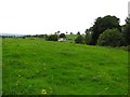 Derryhillagh Townland