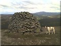 Rhinstock Hill Cairn