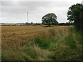 Looking E across the fields behind Staple