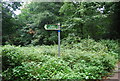 Bridleway signpost at the beginning of the way to Shoreham