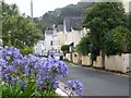 Street scene, Shaldon