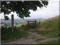 Local footpath