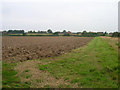 Across the Field to Selmeston