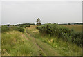 Highfield Moss SSSI