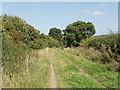 Icknield Way - The Ridgeway near Kingston Blount