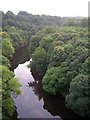 View of Kepier Wood and the Wear from Belmont Viaduct