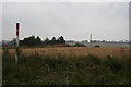 Barley fields at Aquherton