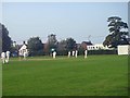 Cricket Match at Dawson