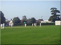 TL7805 : Cricket Match at Dawson's Playing Fields by Malcolm Reid
