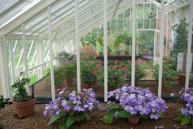 Glass house, The Vyne © Stephen McKay cc-by-sa/2.0 :: Geograph Britain ...