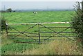 A Gate, field and horse