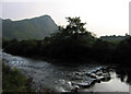 Afon Dysynni and Birds