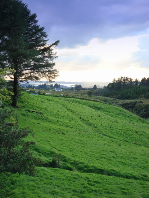 Fields near Copany