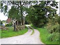 Footpath Near Reapsmoor