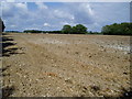 Ploughed field, south of Woodhouse