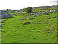 R2099 : Sloping Burren meadow littered with boulders by C Michael Hogan