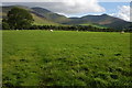 The Skiddaw range