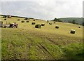 SN7334 : Hay Bales on farmland by Roger