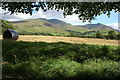 NY2332 : Silage field and Skiddaw range by Philip Halling