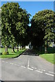 The Avenue, Bassenthwaite