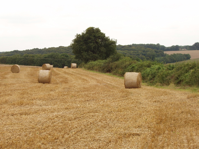 Stubble and straw bales, Handy Cross