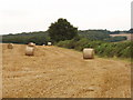 Stubble and straw bales, Handy Cross