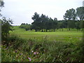 Billingham Golf Club