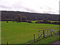 Teifi floodplain: Stradmore, Llandygwydd