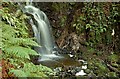 Waterfall, Glenarm forest