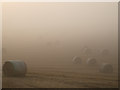 Bales in the mist