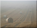 Bales in the mist