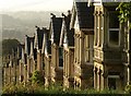 Gables on Shelley Road