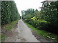 View along Southern end of Pedding Lane