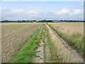 Looking N along bridleway towards Poulton Farm and Guilton