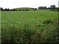 Ballygowan Townland