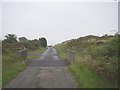 Cattle Grid over minor road