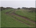 SS9289 : A rather muddy bridleway/ track .... by Roger