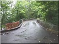 Bridge at Cwmpennar