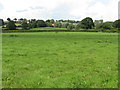 Fields near Birchwood Farm