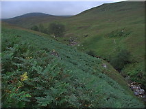 NN3384 : Uphill course of Allt a' Ghlas Choire by ian shiell