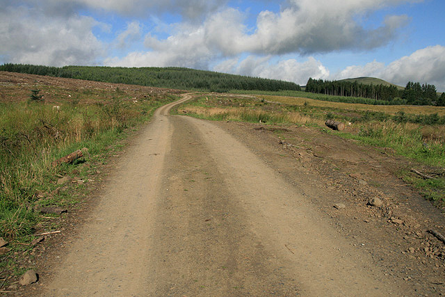 A forestry road in Tinnisburn Forest