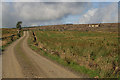 A road to Tinnisburn Forest