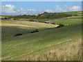 Downland near Eastbourne