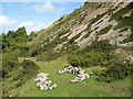 Footpath with rock-art