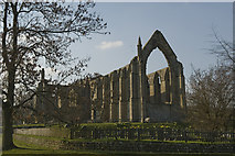 SE0754 : Bolton Abbey by Dave Green