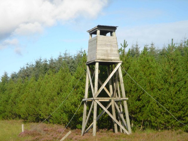 High Seat in Broubster Forest
