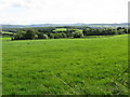 View toward Fox Hill