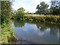 River Wylye near South Newton