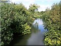 River Wylye near South Newton