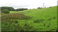 A wet hollow, Cromlix Home Farm